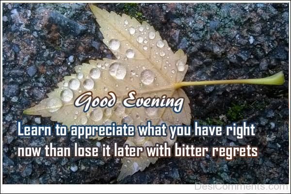 Learn To Appreciate What You Have Right NOw Than Lose It Later With Bitter Regrets