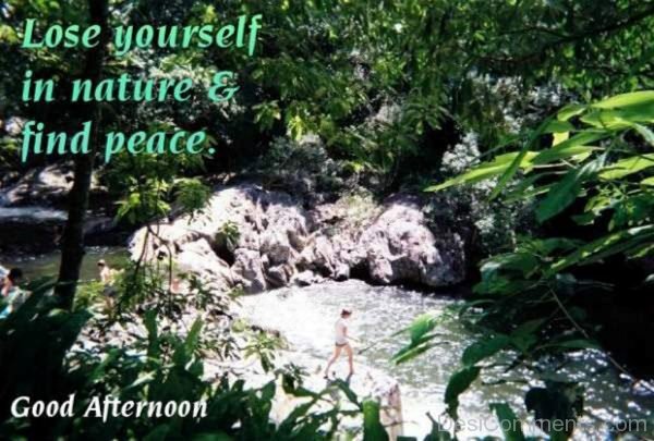 Lose Yourself In Nature Find Peace