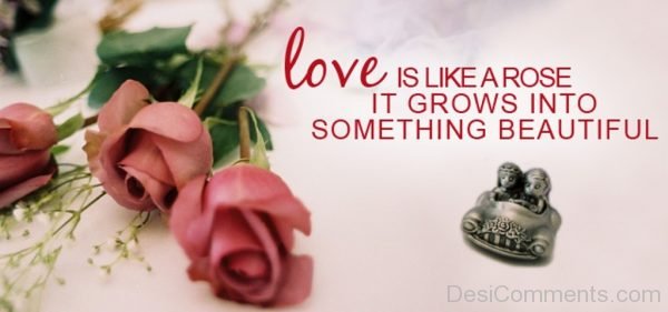 Love Is Like A Rose