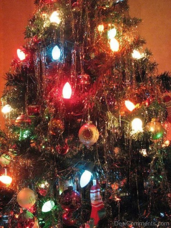 Lovely Christmas Tree Light Day Image