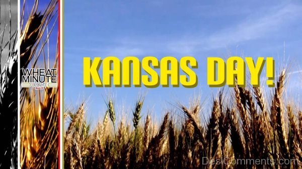 Lovely Pic Of Kansas Day