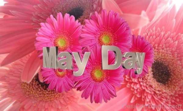 Lovely Pic Of May Day