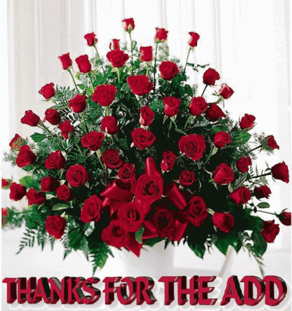 Lovely Pic Of Thanks for Add