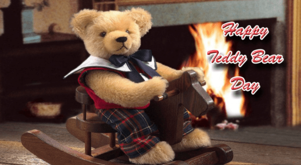 Lovely Teddy Bear Day Pic