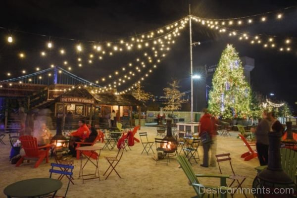 Magnificent Christmas Tree Light Day Pic