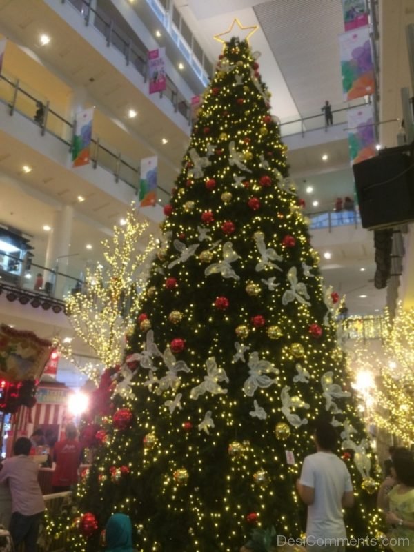 Magnificent Pic Of Christmas Tree Light Day