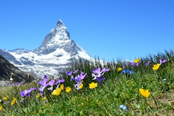 Matterhom Alpine Zematt Mountains