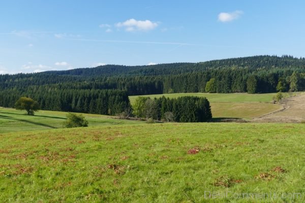 Meadow Aim Landscape