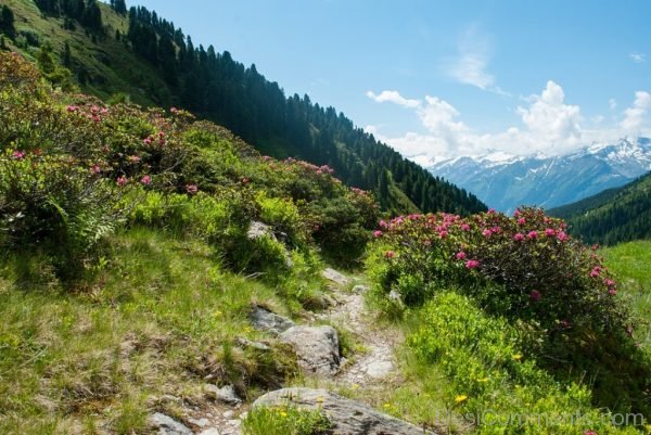 Mountain Hiking Nature