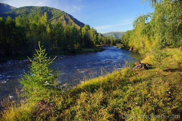 Mountain River Nature