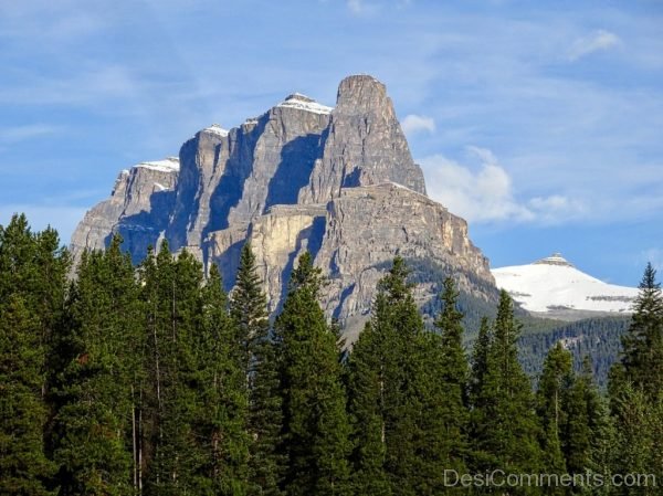 Mountains Forest Peak