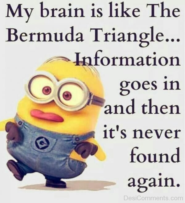 My Brain Is Like The Bermuda Triangle