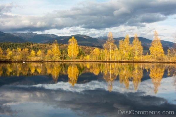 Nature Autumn Water Reflection