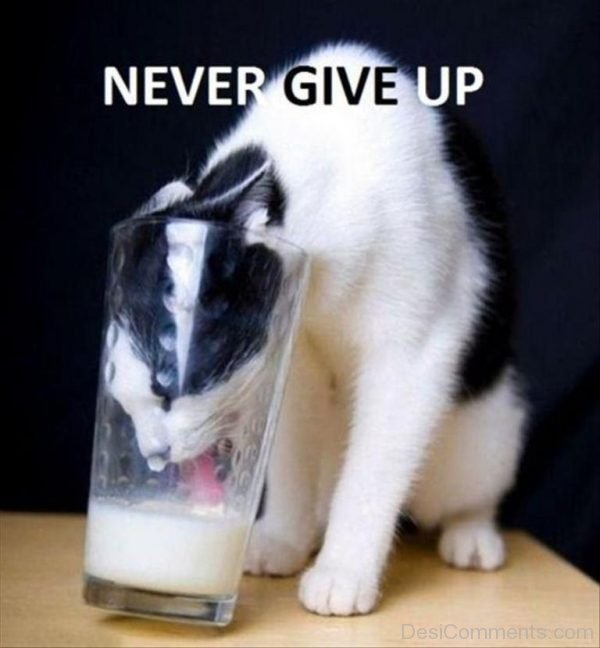 Never Give Up