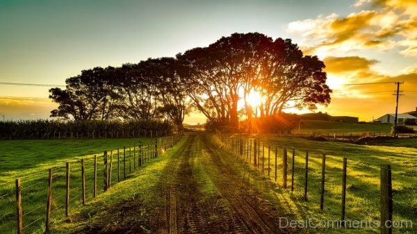 New Zealand Landscape Scenic Nature
