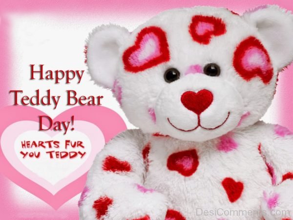 Nice Pic Of Teddy Bear Day