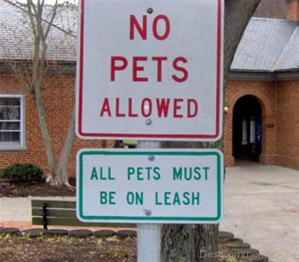 No Pets Allowed