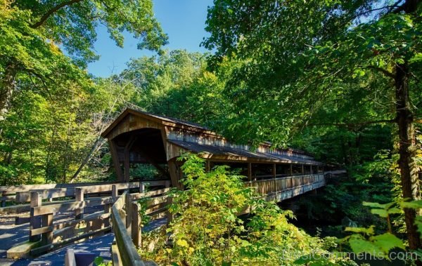 Old Wooden Bridge Landmark Historic