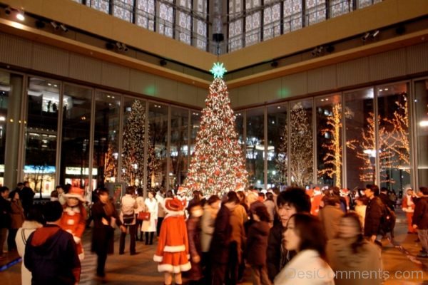 Outstanding Pic Of Christmas Tree Light Day