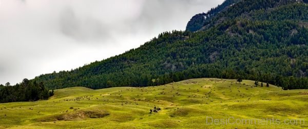 Panorama Landscape