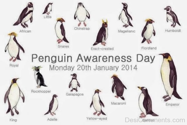 Penguins Awareness Day Image