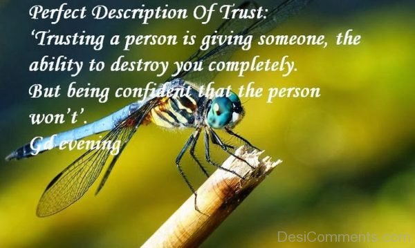 Perfect Description Of Trust