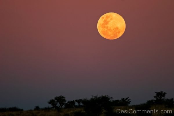 Photo Of Full Moon Day