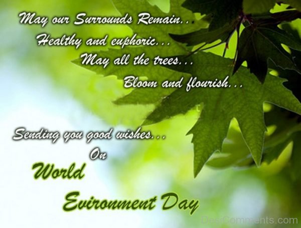 Photo Of World Environment Day