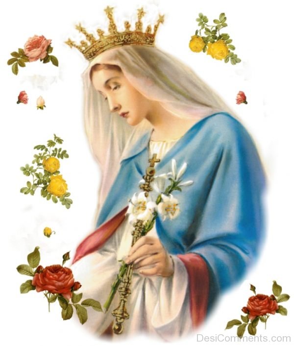 Pic Of Feast of the Immaculate Conception