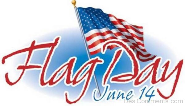 Pic Of Flag Day