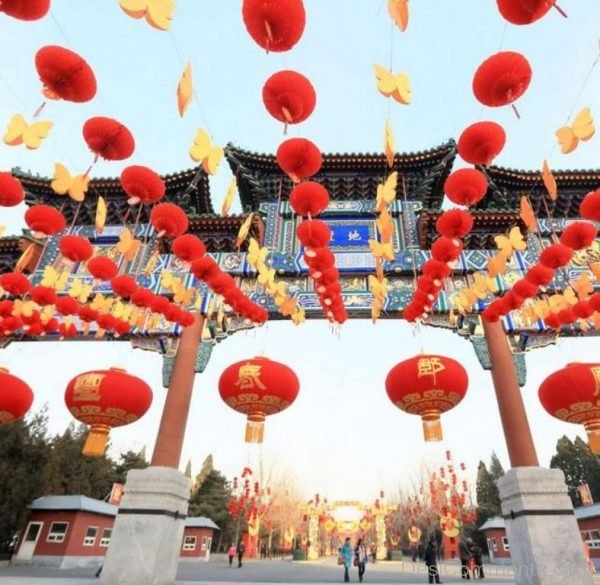 Pic Of Spring Festival