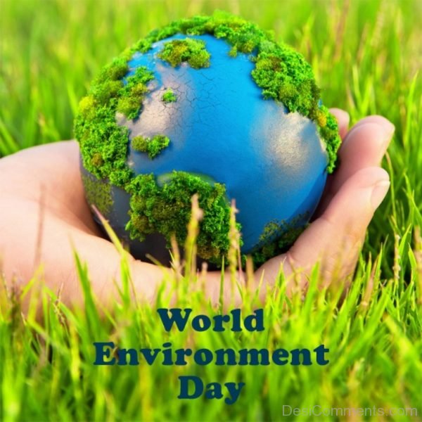 Picture Of World Environment Day