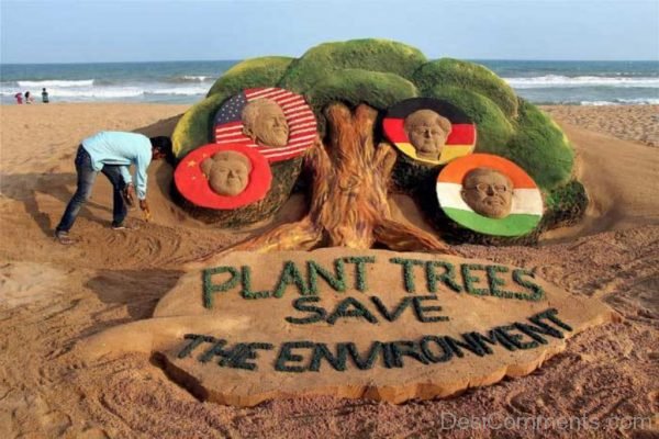 Plant Trees Save The Environment