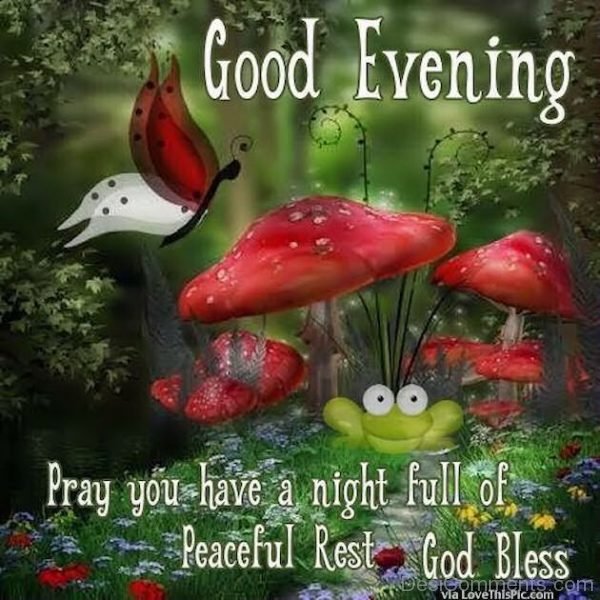 Pray You Have A Night Full Of Peaceful Rest