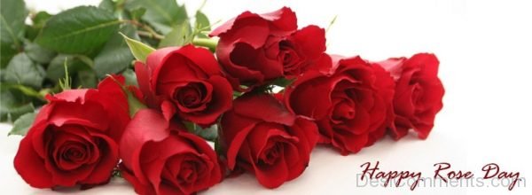 Pretty Image Of Happy Rose Day