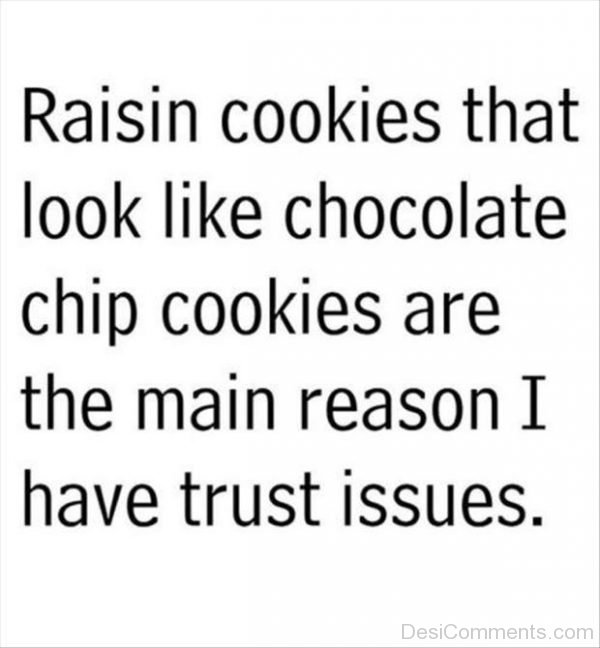Raisin Cookies That Look Like Chocolate Chip Cookies