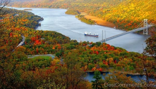 River Boat Bridge Autumn