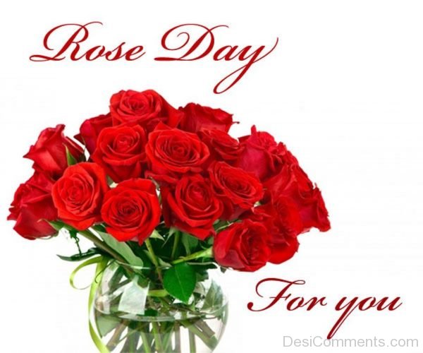Rose Day For you
