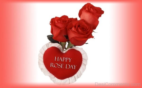 Rose Day Image