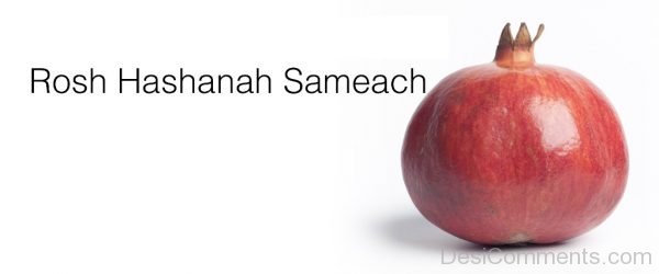 Rosh Hashanah Sameach