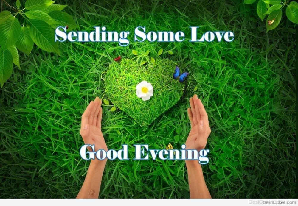 Sending Some Love Good Eveniing - DesiComments.com