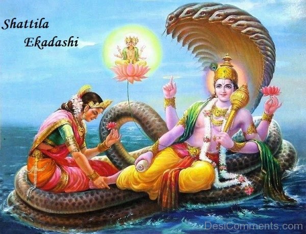 Happy Shattila Ekadashi