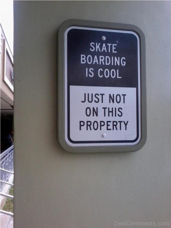 Skate Boarding Is Cool