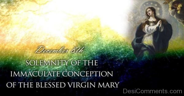 Solemnity Of The Immaculate Conception Of The Blessed virgin Mary