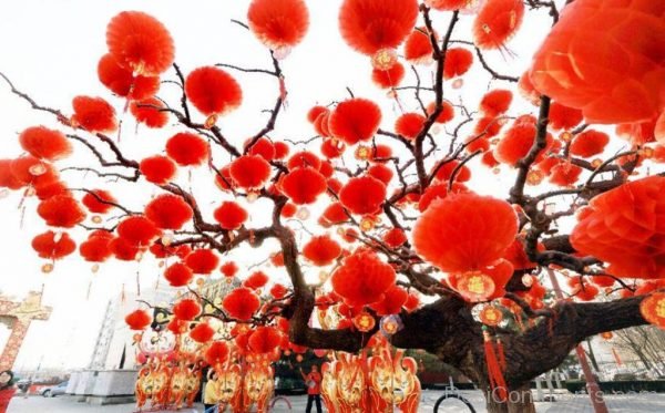 Happy Spring Festival