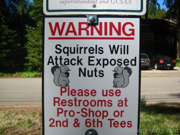 Squirrels Will Attack Exposed Nuts