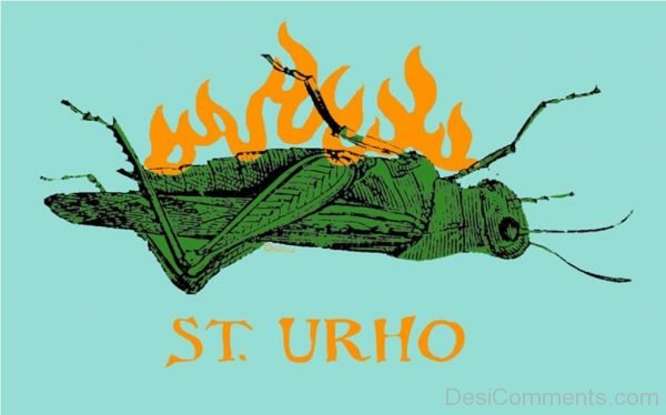 St. Urho Pic