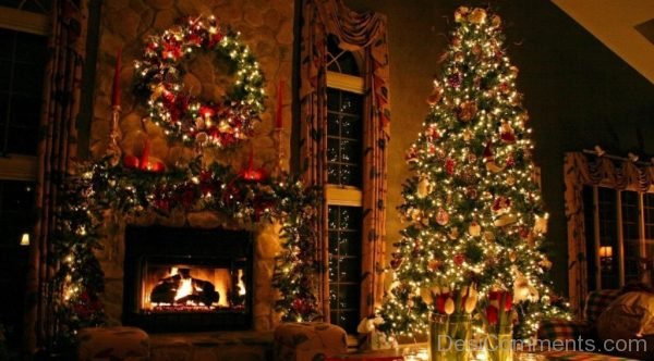 Stunning Image Of Christmas Tree Light Day