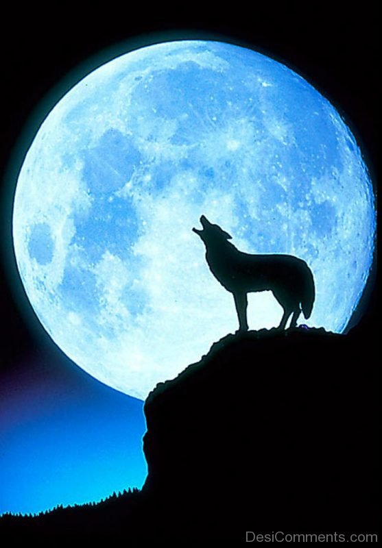 Stunning Pic Of Full Moon Day