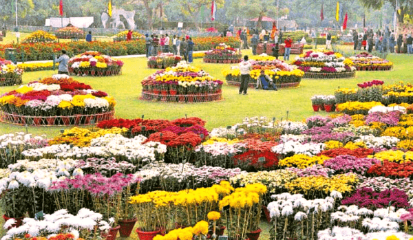 Stunning Pic Of Gardens Festival